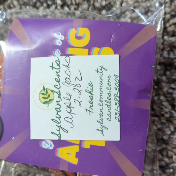 Cinnamon, pumpkin mushroom and apple cinnamon owl freshies - Picture 5 of 9